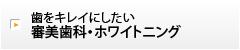 歯をキレイにしたい審美歯科・ホワイトニング