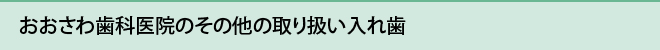 おおさわ歯科医院のその他の取り扱い入れ歯