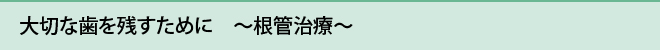 大切な歯を残すために　～根管治療～